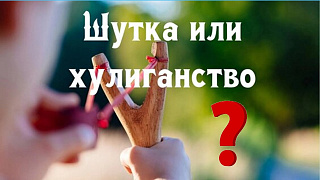 «Шалость или хулиганство?»: встреча с инспектором