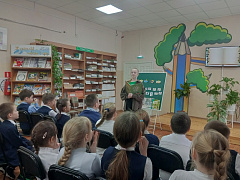 «Лес полон чудес»