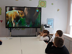«Верность животных семье»: громкие чтения 
