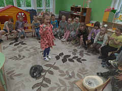 «Да здравствуют фантазеры и выдумщики!»: литературный урок