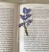 «Летние фантазии»: мастерская творческого чтения