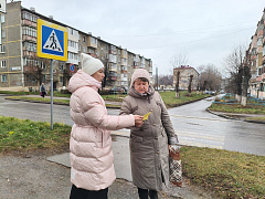 «Новочебоксарск: история и современность»: уличная информационная акция