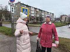 «Новочебоксарск: история и современность»: уличная информационная акция