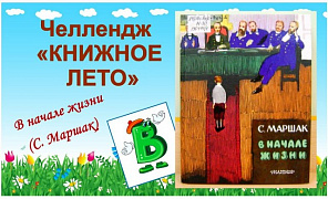Литературная игра-челлендж «Книжное лето»