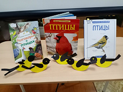 «Синички-невелички»: экологический час