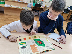 «Букашкины сказки»: экоприключение