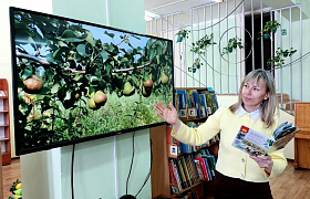 «Кто на яблоньку похож?»: игра-путешествие