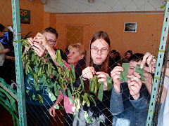 «Библиосумерки - 2025» в библиотеке семейного чтения им. А. Николаева