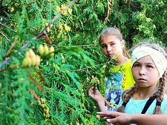 Жемчужина Новочебоксарска