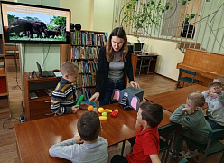 «Такие разные слоны»