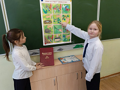 «Из тысячи планет земли чудесней нет»: экологический час