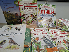 «Приключения маленького воробья»: познавательная прогулка