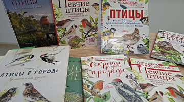 «Приключения маленького воробья»: познавательная прогулка