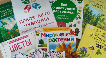 «Цветочные сказки»: интерактивная программа
