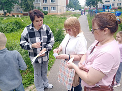 «Ромашковое настроение»: поздравительная акция