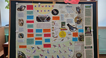 «Крылья весны»: экологическая карусель в библиотеке им. С. Маршака