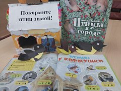 «Покормите птиц зимой»: познавательная мастерская 