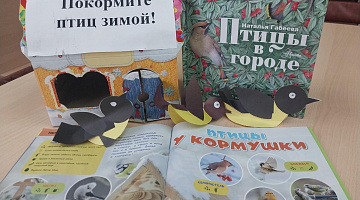 «Покормите птиц зимой»: познавательная мастерская 