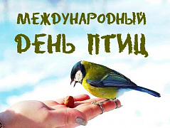 «Здравствуй, птичья страна»: час экологии к Международному дню птиц