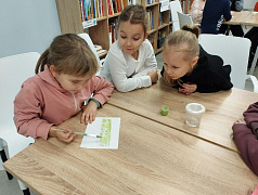 «Секрет синей папки»