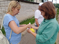 «Ромашковое настроение»: поздравительная акция
