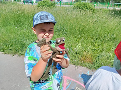 «Охраняю мир вокруг»: экоквест