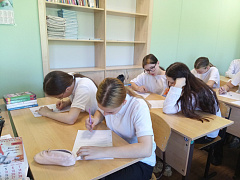 «В поисках своего призвания» (о писателях): час профориентации