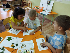 Чтение на благо планеты. Миссия: лес