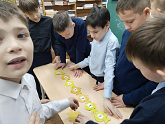 «Обыкновенные кошки»: мяу-экспедиция