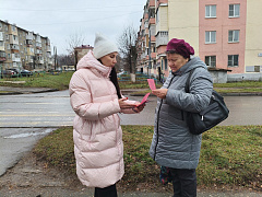 «Новочебоксарск: история и современность»: уличная информационная акция