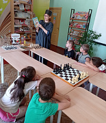 В Стране шахмат: турнир знатоков