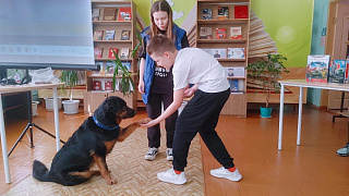 «Библиосумерки - 2025» в библиотеке семейного чтения им. А. Николаева